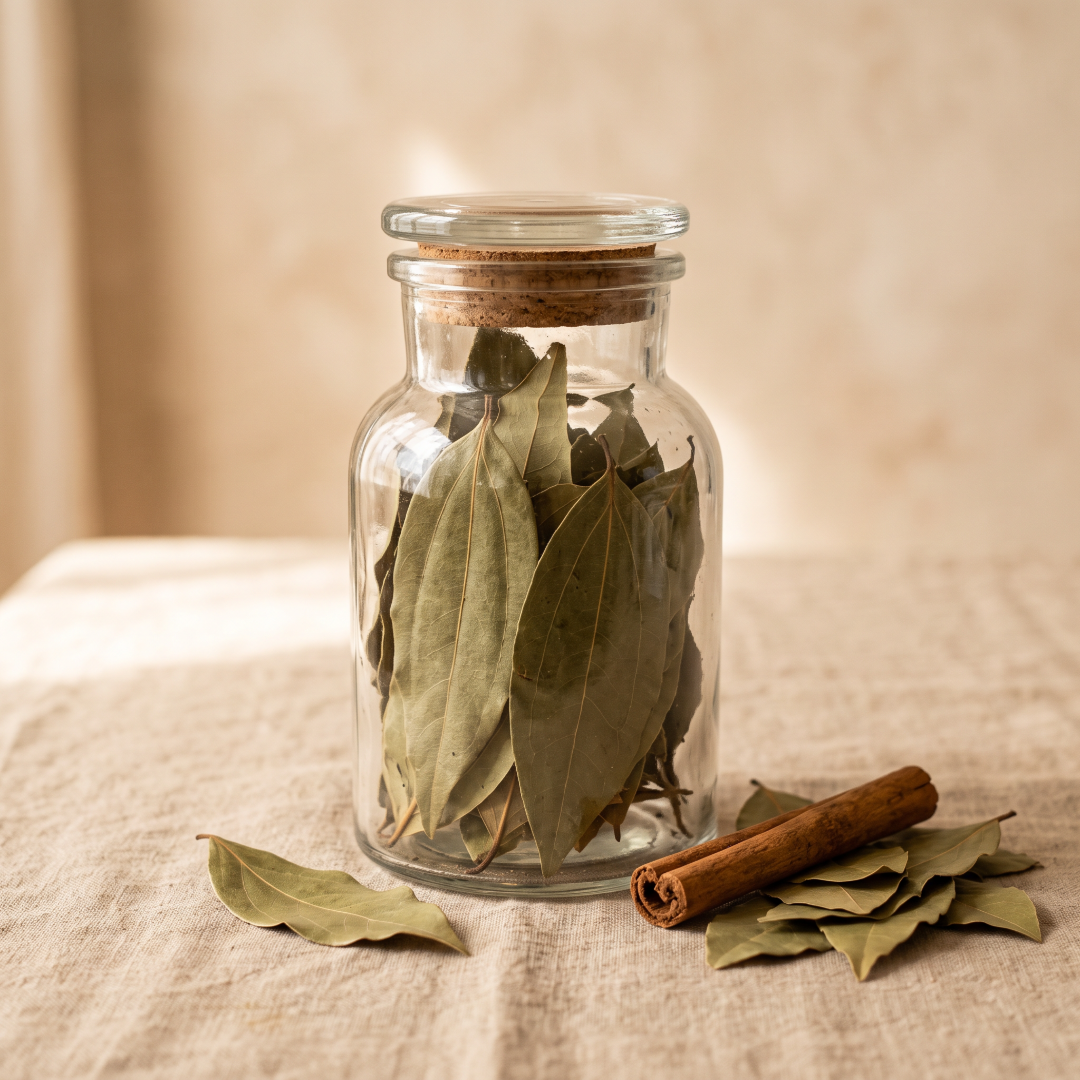 Feuille de Cannelier - Laurier Indien
