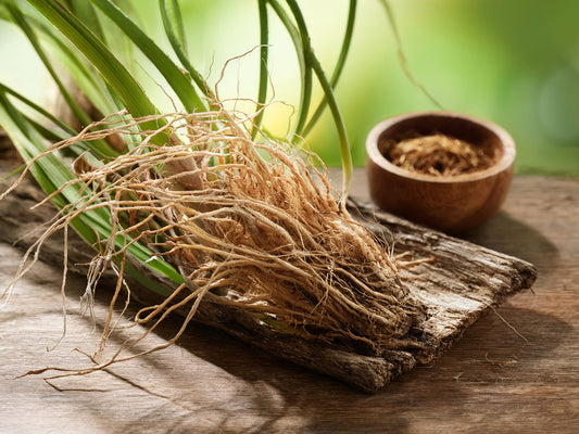 Vetiver - La racine parfumée